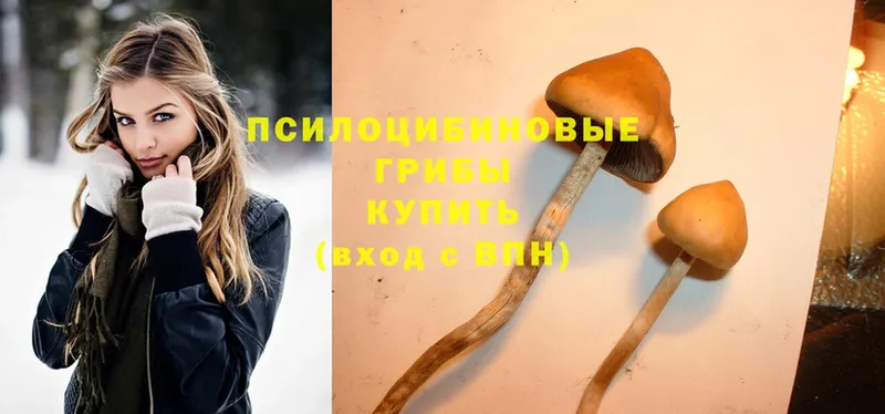 где купить наркоту  Искитим  ОМГ ОМГ вход  Галлюциногенные грибы Psilocybe 