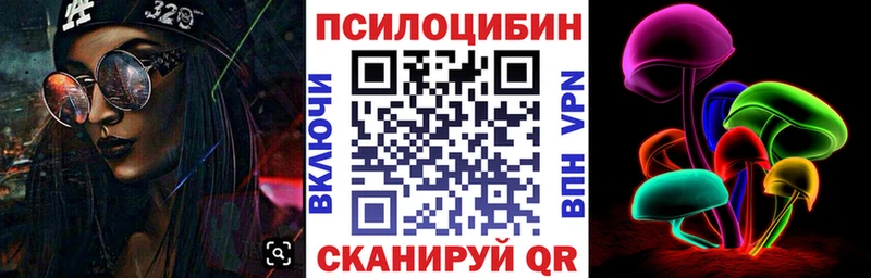 omg маркетплейс  Искитим  Псилоцибиновые грибы Psilocybine cubensis 