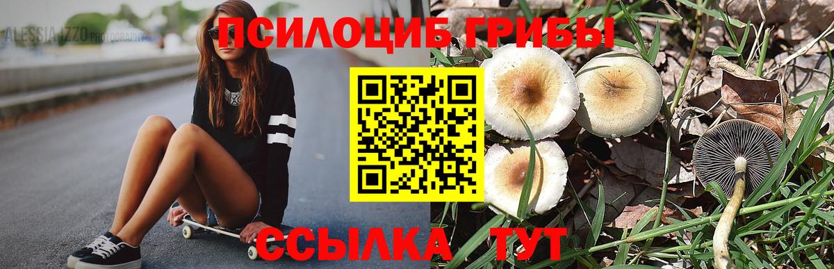 Галлюциногенные грибы GOLDEN TEACHER Искитим