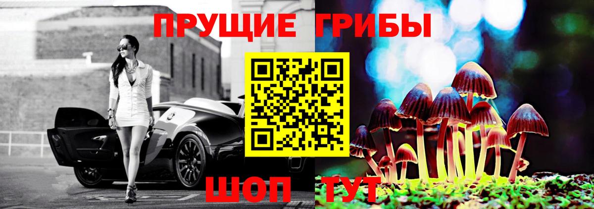 Искитим  где купить наркотик  Псилоцибиновые грибы GOLDEN TEACHER  Вход с VPN  Галлюциногенные грибы прущие грибы 