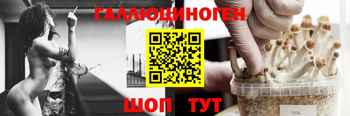 Псилоцибиновые грибы ЛСД  Искитим  Галлюциногенные грибы GOLDEN TEACHER 