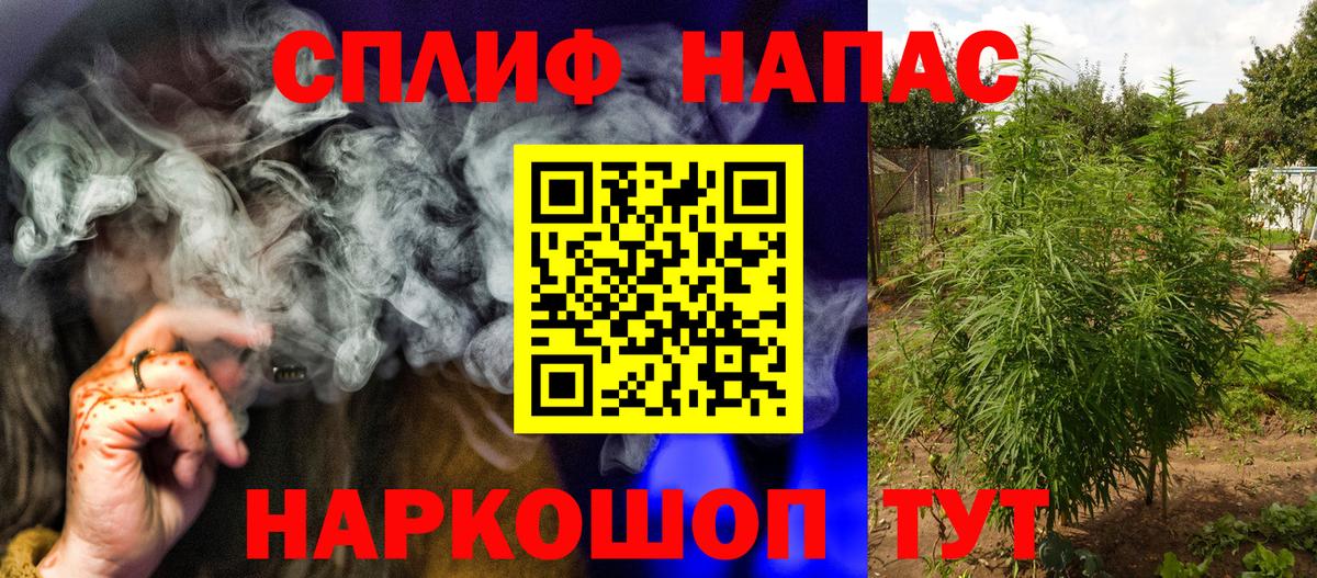Канабис сатива Искитим